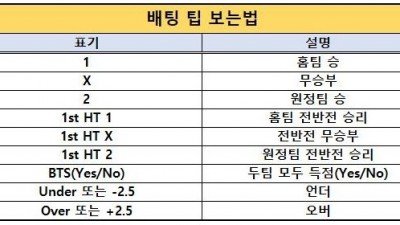 2024년9월15일 [해외베스트픽] 먹튀모음